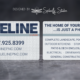 Blue Line Pools Business Card - Spiderfly Studios