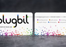 Plugbit Business Cards - Spiderfly Studios